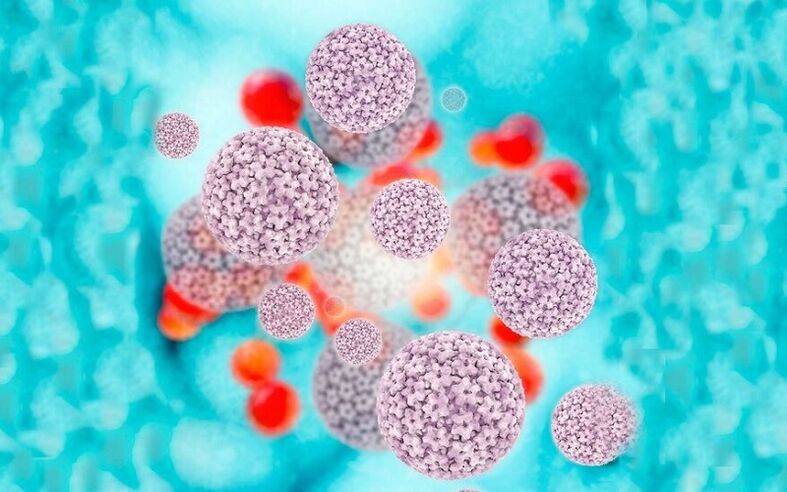 papilomavirus uman cauzând papiloame la nivelul labiilor