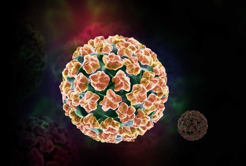 papilomavirus uman în organism